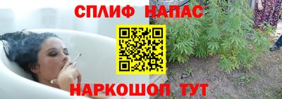 спиды Бузулук