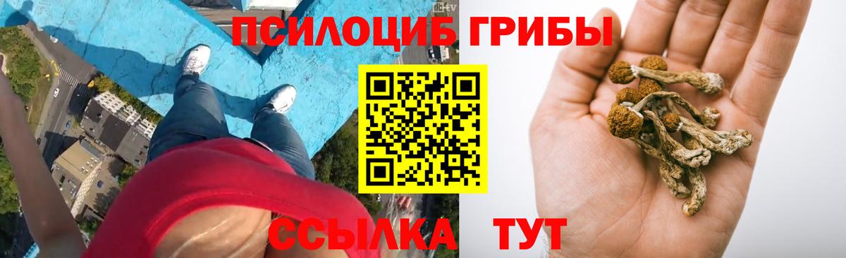 Псилоцибиновые грибы ЛСД Родники